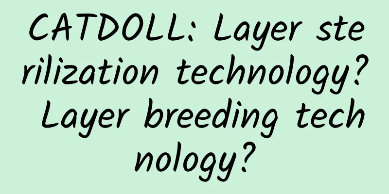 CATDOLL: Layer sterilization technology? Layer breeding technology?