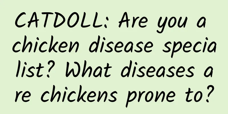 CATDOLL: Are you a chicken disease specialist? What diseases are chickens prone to?