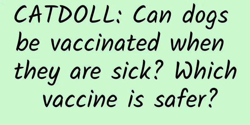 CATDOLL: Can dogs be vaccinated when they are sick? Which vaccine is safer?