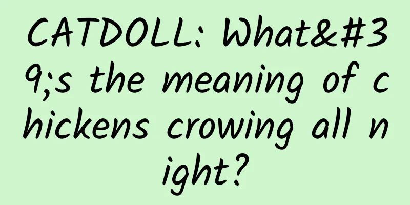 CATDOLL: What's the meaning of chickens crowing all night?