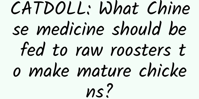 CATDOLL: What Chinese medicine should be fed to raw roosters to make mature chickens?