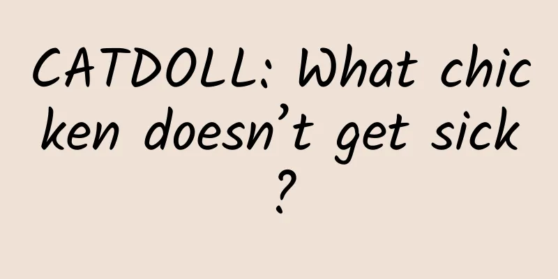 CATDOLL: What chicken doesn’t get sick?