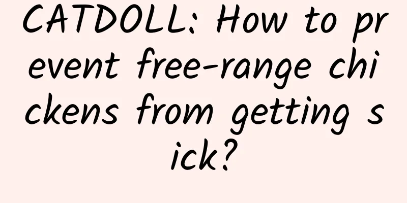 CATDOLL: How to prevent free-range chickens from getting sick?