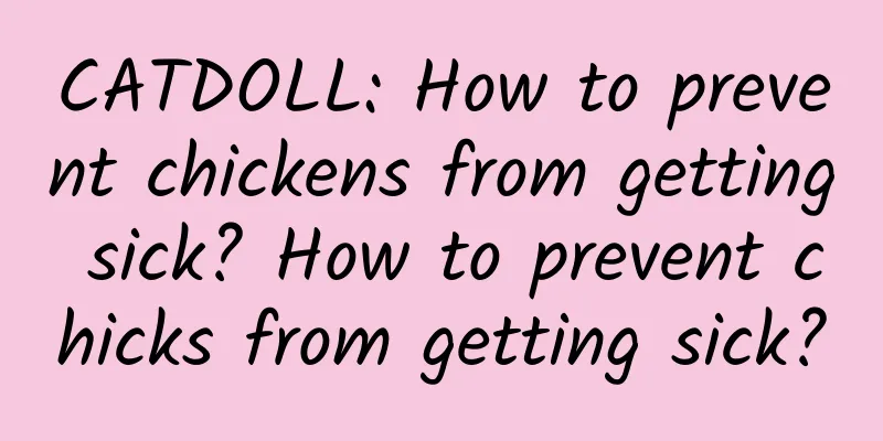 CATDOLL: How to prevent chickens from getting sick? How to prevent chicks from getting sick?