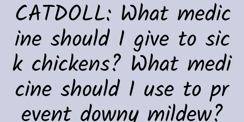 CATDOLL: What medicine should I give to sick chickens? What medicine should I use to prevent downy mildew?