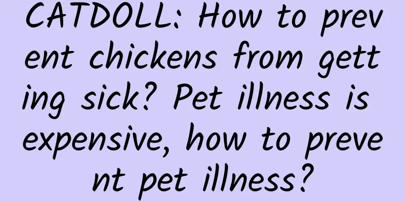CATDOLL: How to prevent chickens from getting sick? Pet illness is expensive, how to prevent pet illness?