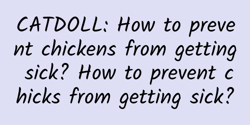 CATDOLL: How to prevent chickens from getting sick? How to prevent chicks from getting sick?