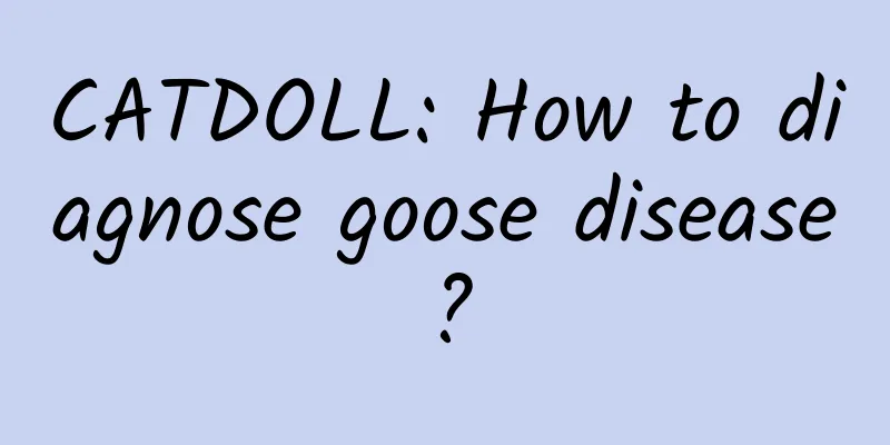 CATDOLL: How to diagnose goose disease?