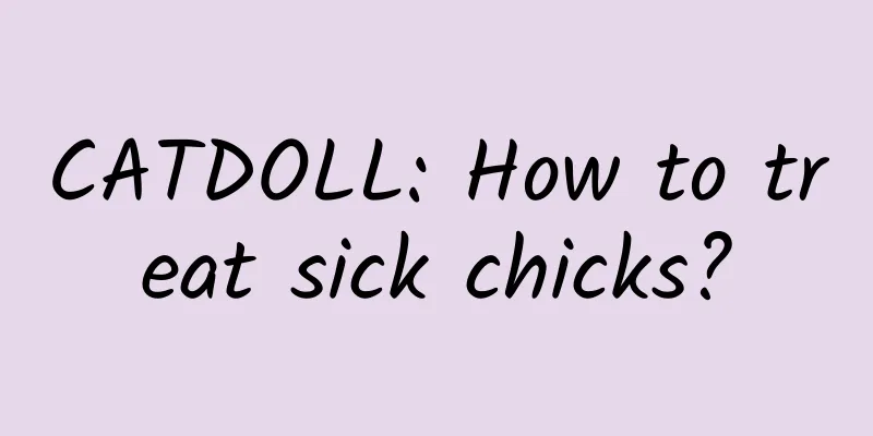 CATDOLL: How to treat sick chicks?