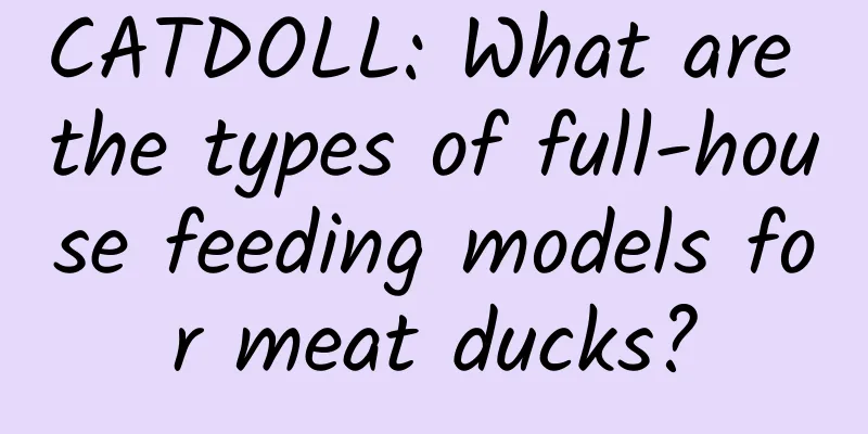 CATDOLL: What are the types of full-house feeding models for meat ducks?