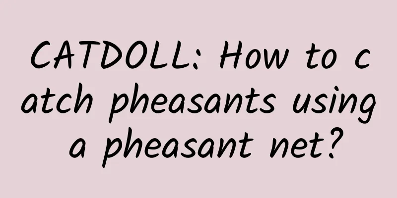 CATDOLL: How to catch pheasants using a pheasant net?