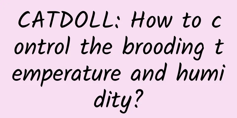 CATDOLL: How to control the brooding temperature and humidity?