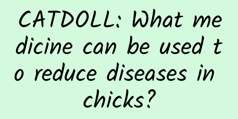 CATDOLL: What medicine can be used to reduce diseases in chicks?